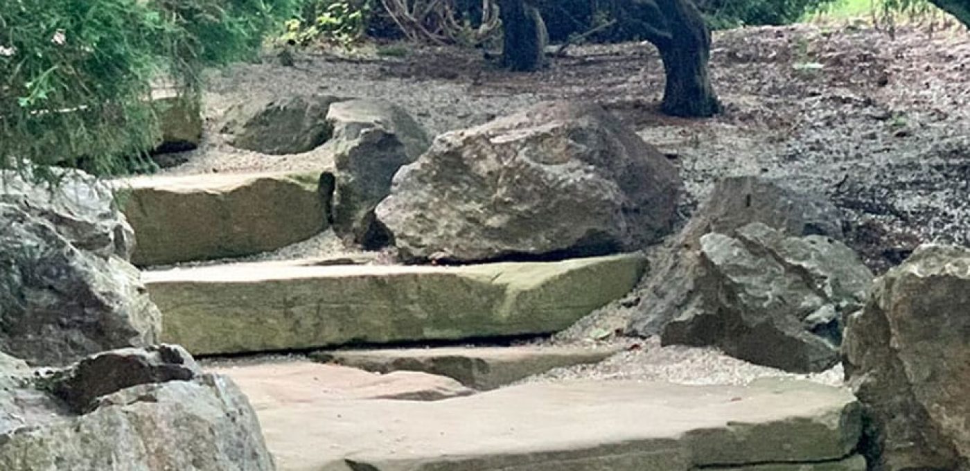 Landscape Pathway